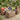 Outdoor storage tables collection image