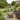 Outdoor round rattan coffee table for garden and patio seating areas