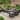 Dark Brown rattan storage side table with tempered glass top in a garden seating area